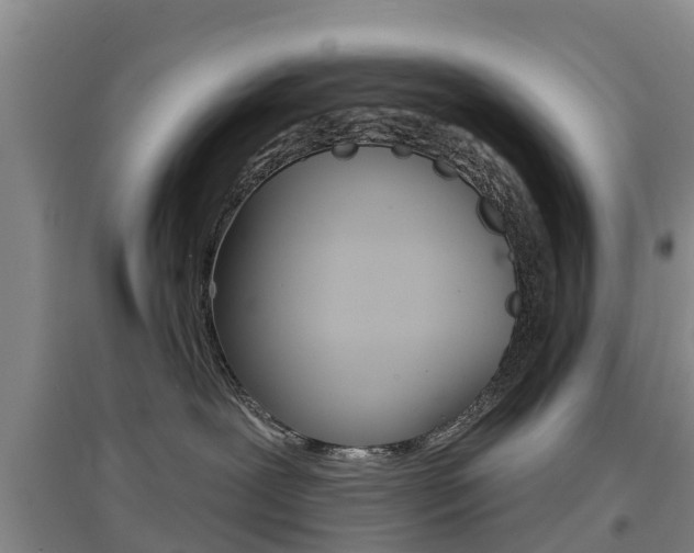 X0000097470239200802220836