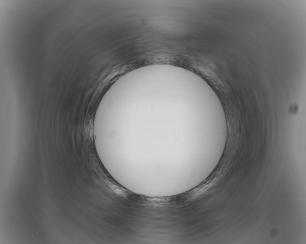X0000097470240200802220836