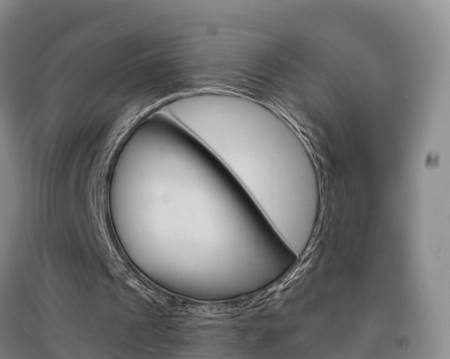 X0000097470241200802220835