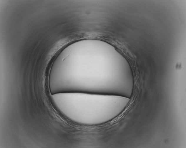 X0000097470242200802220835