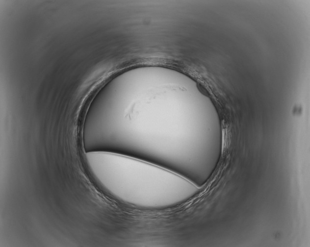 X0000097470243200802220835