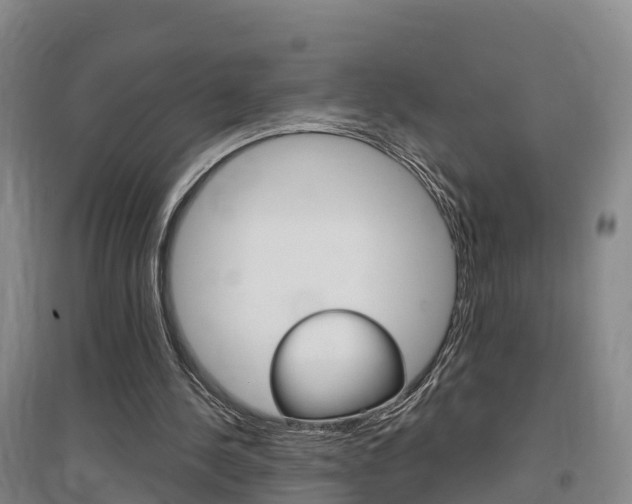X0000097470244200802220835