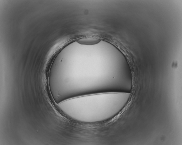 X0000097470245200802220835