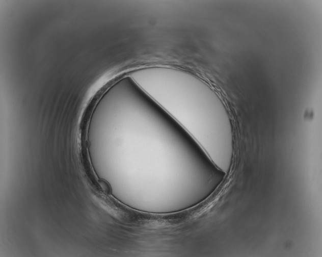 X0000097470246200802220835