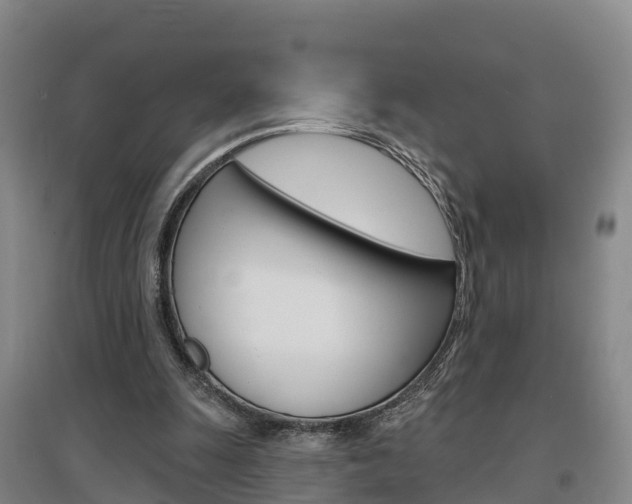 X0000097470247200802220835