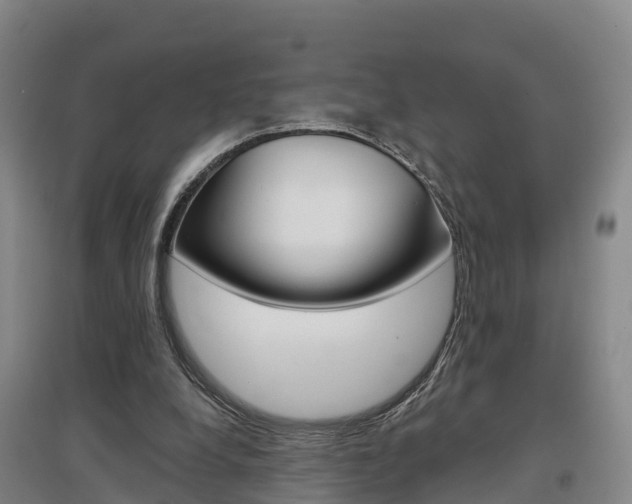 X0000097470248200802220835
