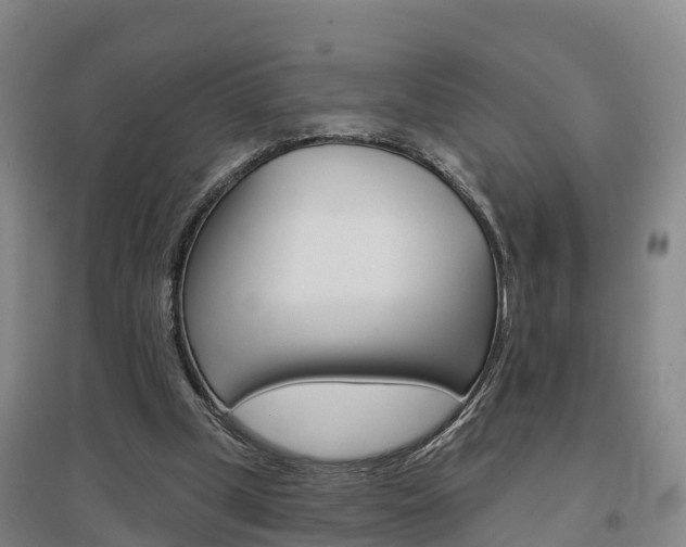 X0000097470249200802220835
