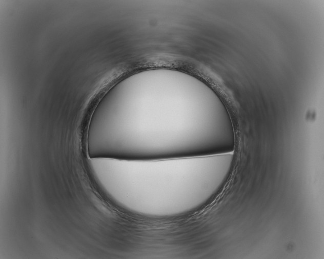 X0000097470250200802220835