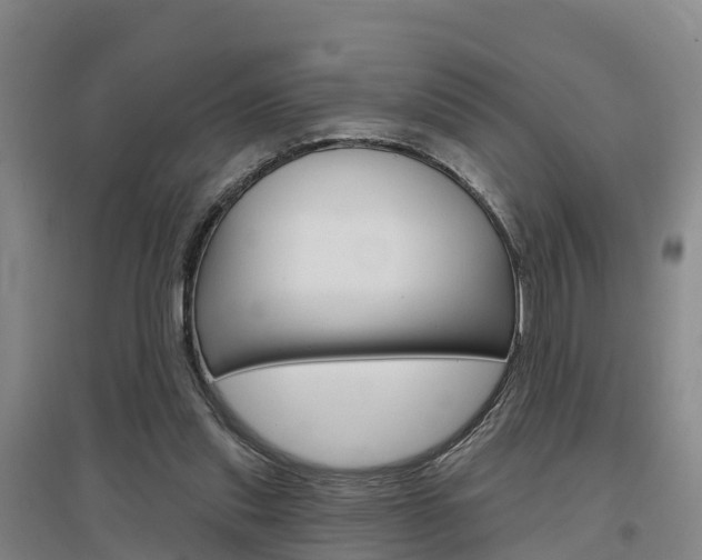 X0000097470253200802220835