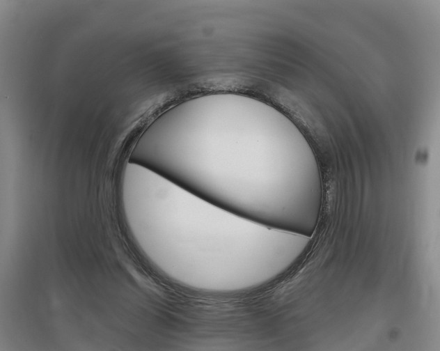 X0000097470254200802220836