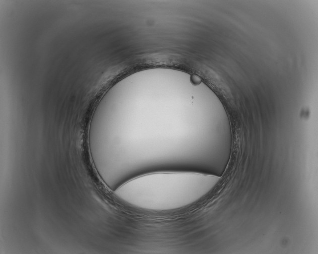 X0000097470255200802220836