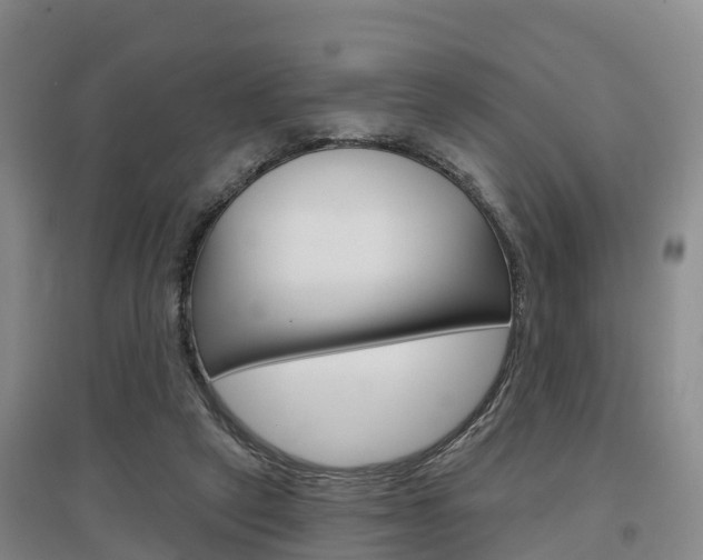 X0000097470257200802220836