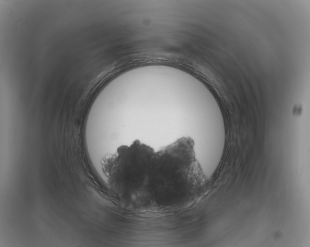 X0000097470258200802220836