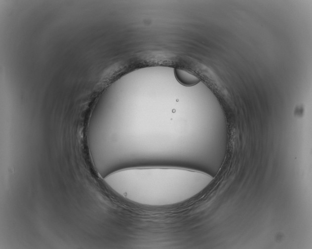 X0000097470259200802220836