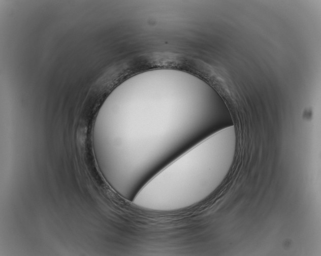 X0000097470263200802220836