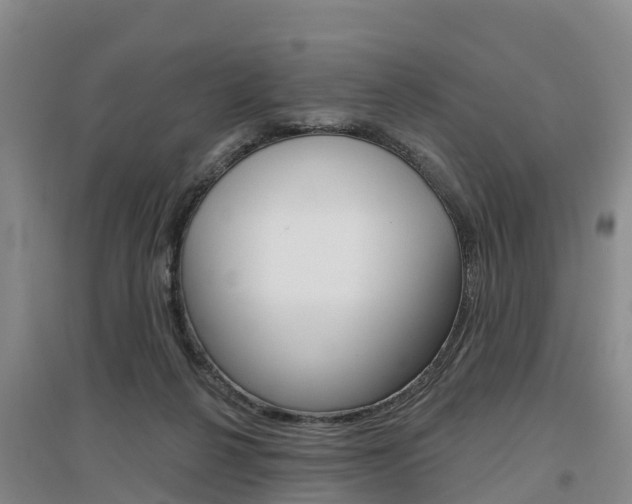 X0000097470264200802220836