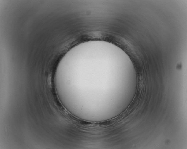 X0000097470267200802220836