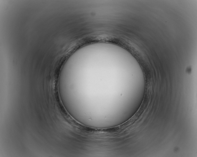 X0000097470268200802220836