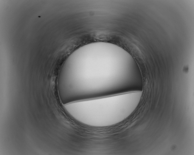 X0000097470271200802220836