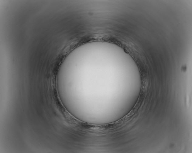 X0000097470272200802220836