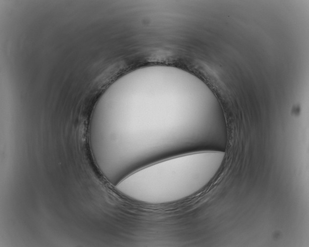 X0000097470273200802220836