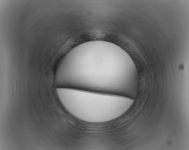 X0000097470274200802220836