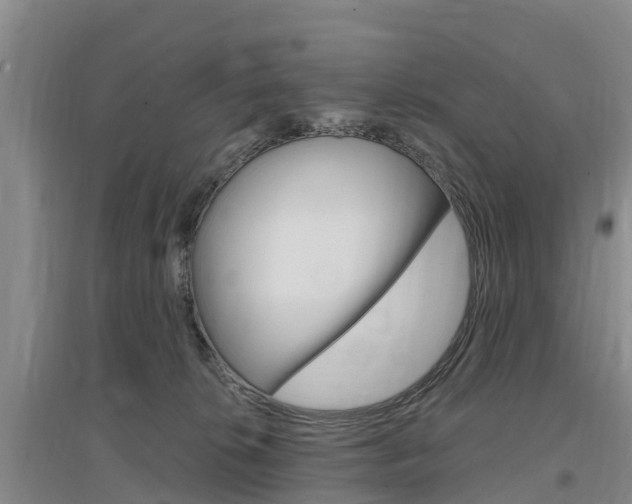 X0000097470276200802220836