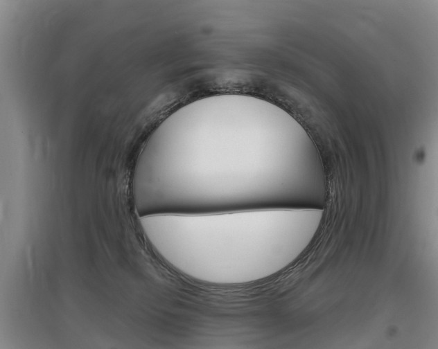 X0000097470278200802220836