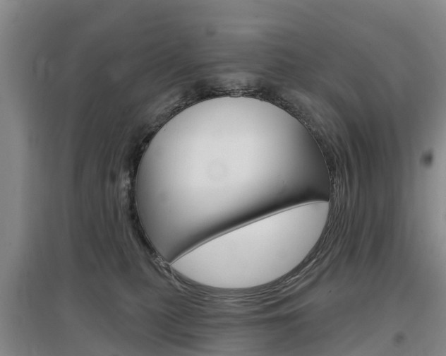 X0000097470279200802220836