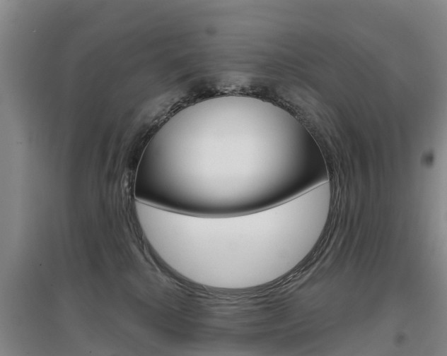 X0000097470280200802220836
