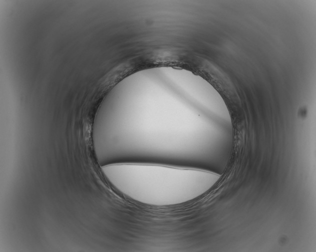 X0000097470281200802220836
