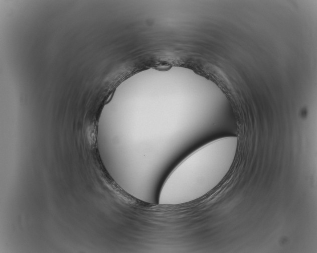 X0000097470285200802220836