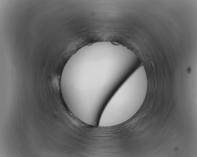 X0000097470286200802220836