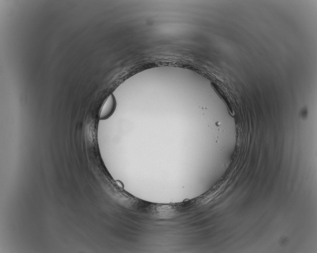 X0000097470287200802220836