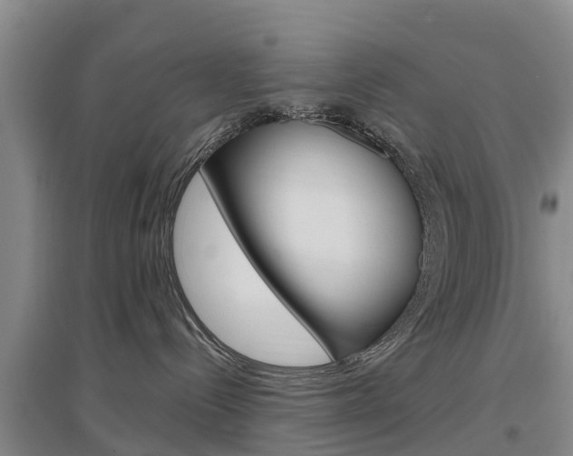 X0000097470288200802220836
