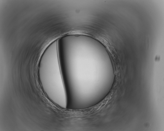 X0000097470289200802220835
