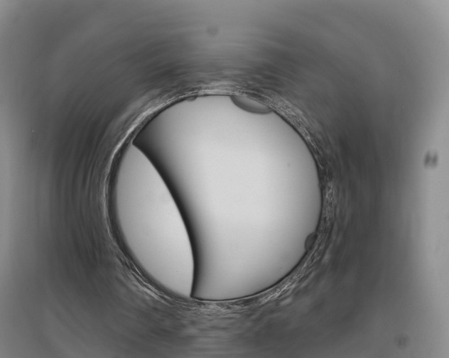 X0000097470290200802220835