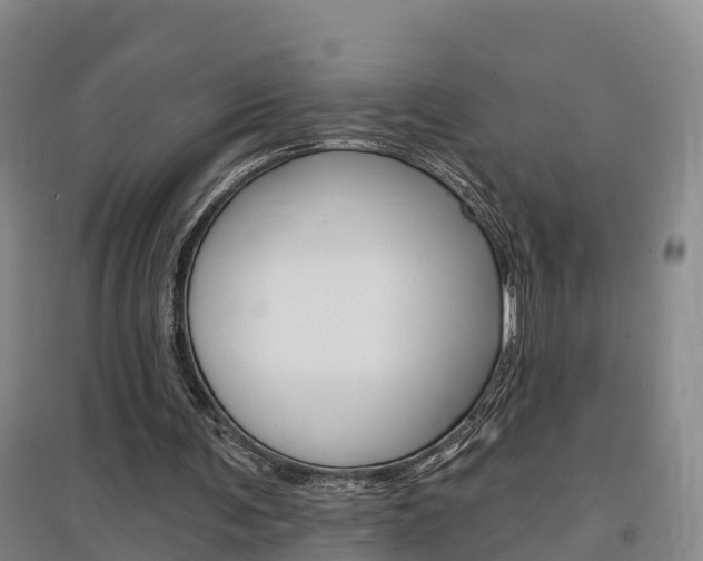 X0000097470291200802220835
