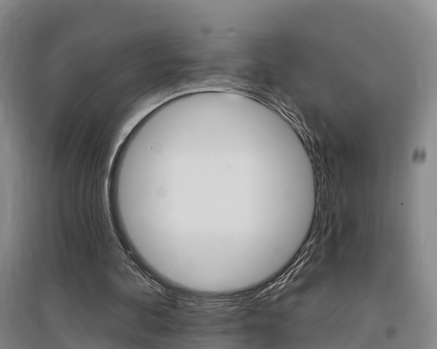 X0000097470292200802220835