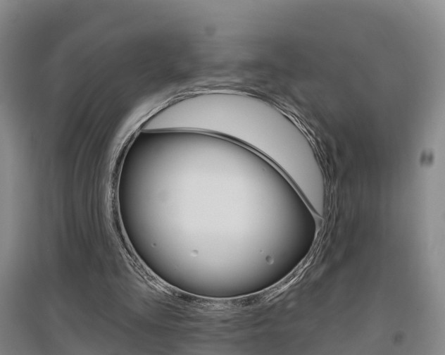 X0000097470293200802220835