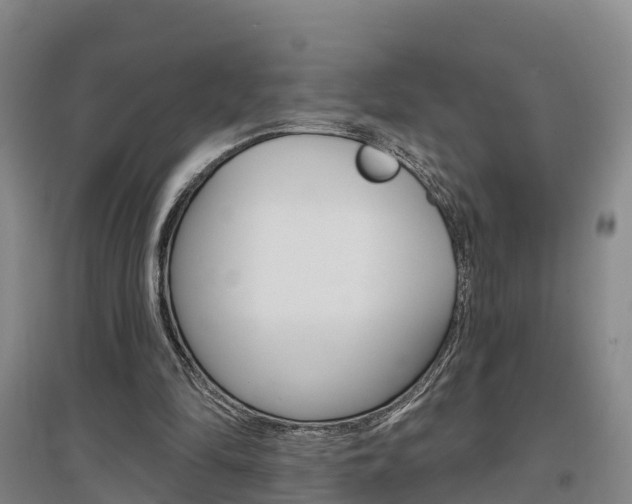 X0000097470294200802220835