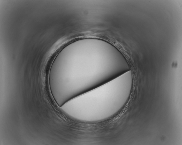 X0000097470295200802220835