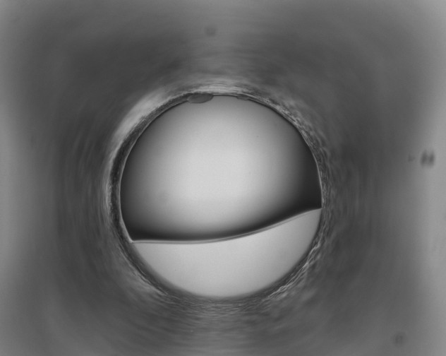 X0000097470296200802220835