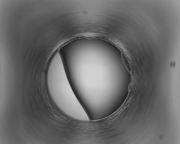 X0000097470297200802220835