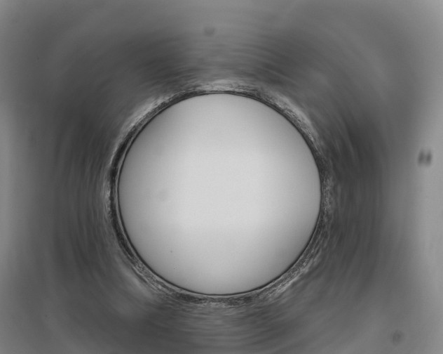 X0000097470298200802220835