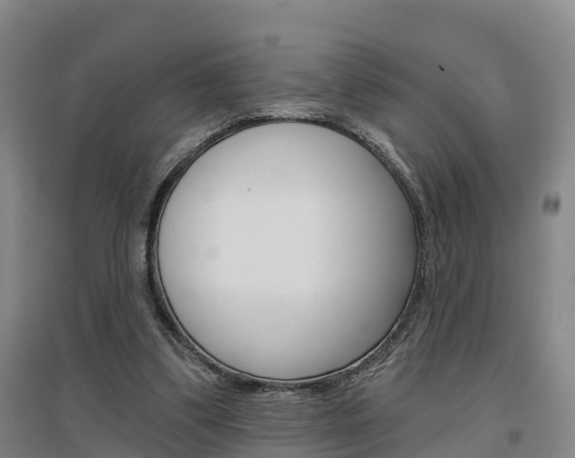 X0000097470299200802220835