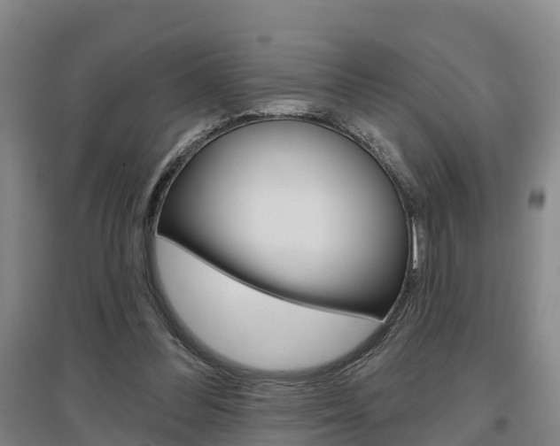 X0000097470300200802220835