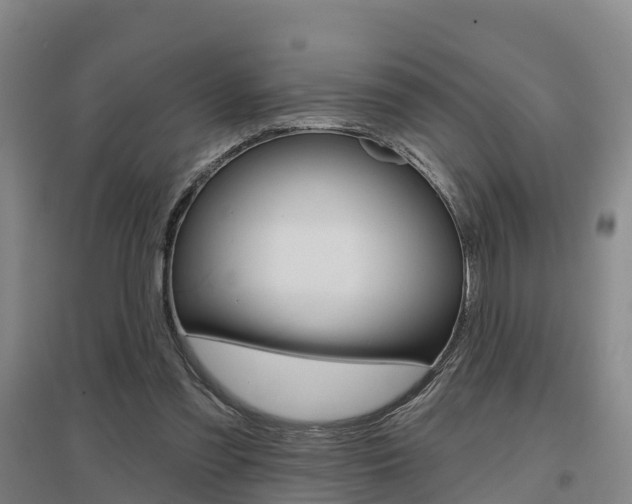 X0000097470301200802220835