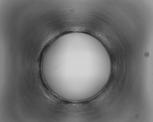 X0000097470303200802220835