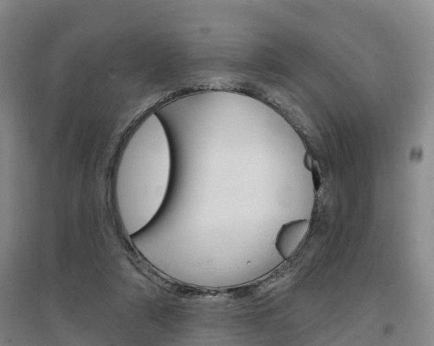 X0000097470306200802220835